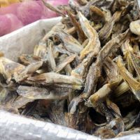 Quality Dry Salted Stock Fish/ Dried Fish /Dried smoked fish