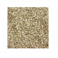 Fresh Peeled Sunflower kernel Sunflower Organic seeds kernels