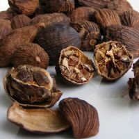 High quality Vietnam Black Cardamom good price