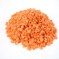 New Crop Lentils Beans, Red Lentils Turkey, Red Lentil Specifications