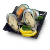 High quality Shellfish Frozen Half Shell Mussel