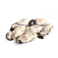 Whole Shell Oysters fresh instant frozen shrimp frozen seafood