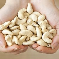 Fresh Cashew Nuts Cashew Nuts w320 w240 Export Cashew Nuts