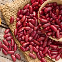 Wholesale High Quality New Organic Purple Dark Red Kidney Beans