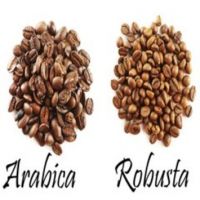 Wholesale Premium High Quality Raw Hot Selling  Arabica And Robusta Green Coffee Beans