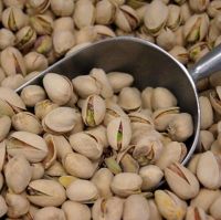 Best Grade Raw Pistachio Nuts / With & Without Shell.