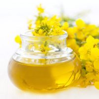 New Best Selling Rapeseed Oil/ Canola Oil.