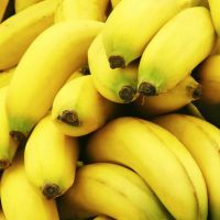 BANANAS FRESH AND APPETIZING FOR SALE