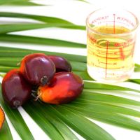 Raw palm Kernel oil, premium refined palm oil