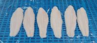 Pangasius Fillet with Best Price