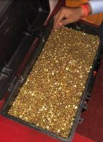 Gold bars/Nuggets