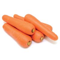 Fresh Organic Red Carrot