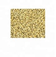 Rolled Oats , Oats Flakes, Oats Flour Hulled Oats for sale