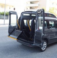 WL-D-880U wheelchair lift for rear door of vans