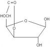 D-Glucuronolactone