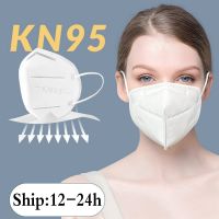 5 pcs disposable PPE 4 ply earloop KN95 face mask