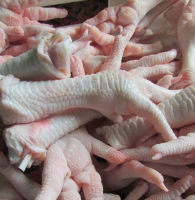 Halal Chicken Feet Frozen Chicken Paws United Kingdom wings for export