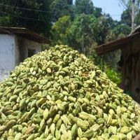 Premium quality Indian green cardamom oil