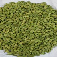 Buy High quality Dried Premium Quality 7-9 mm Green Cardamom.