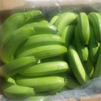 FRESH CAVENDISH BANANAS