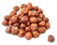 HAZELNUTS