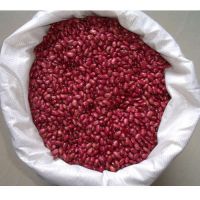 KIDNEY BEANS