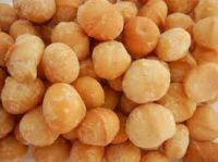 MACADAMIA NUTS