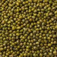 MUNG BEANS