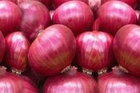 FRESH ONION