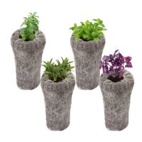 PLANT GROWING KIT