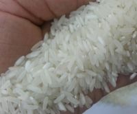 Top Quality White Rice/ Brown Rice/ Black Rice / Rice Bran