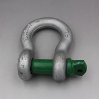 U. S. Type Forged Screw Pin Anchor Shackle G209