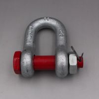 U. S. Type Forged Bolt Type Safety Chain Shackle G2150