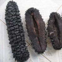 Cheap Quality Wholesale Dried Sea Cucumbers