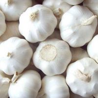 Garlic/Indian Garlic/Fresh White Garlic 2020