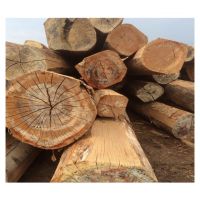 Timber Logs / Wood Teak / Oak  Logs