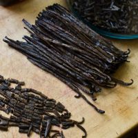 Top Quality Vanilla Beans for Sale