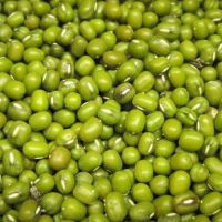 premium green mung beans