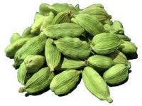 Green Cardamom Premium Whole Large Green Cardamom Fresh Quality