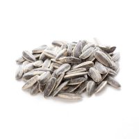 sunflower seeds For Sale