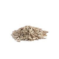 cheap sunflower seeds