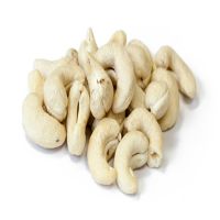 Dried style and raw processing kind VIETNAM CASHEW NUTS IMPORT PRICE