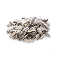 Sunflower Seed