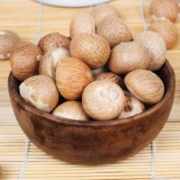 DRIED WHOLE BETEL NUTS/ ARECA NUTS FROM VIETNAM WITH BEST PRICE