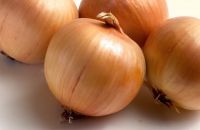 Fresh Organic Onions from sunny Uzbekistan