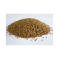 Natrual Herb Organic dried Alfalfa seeds