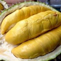 Premium Fresh Monthong King Durian