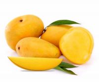 Alphonso mango