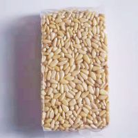 Raw Pine Nuts