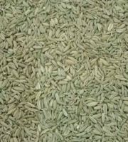 High quality cumin seeds and fennel seeds